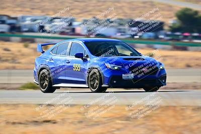 media/Nov-16-2024-Extreme Speed (Sat) [[6587d07cc4]]/Gold Group/Session 1 (Turn 2)/